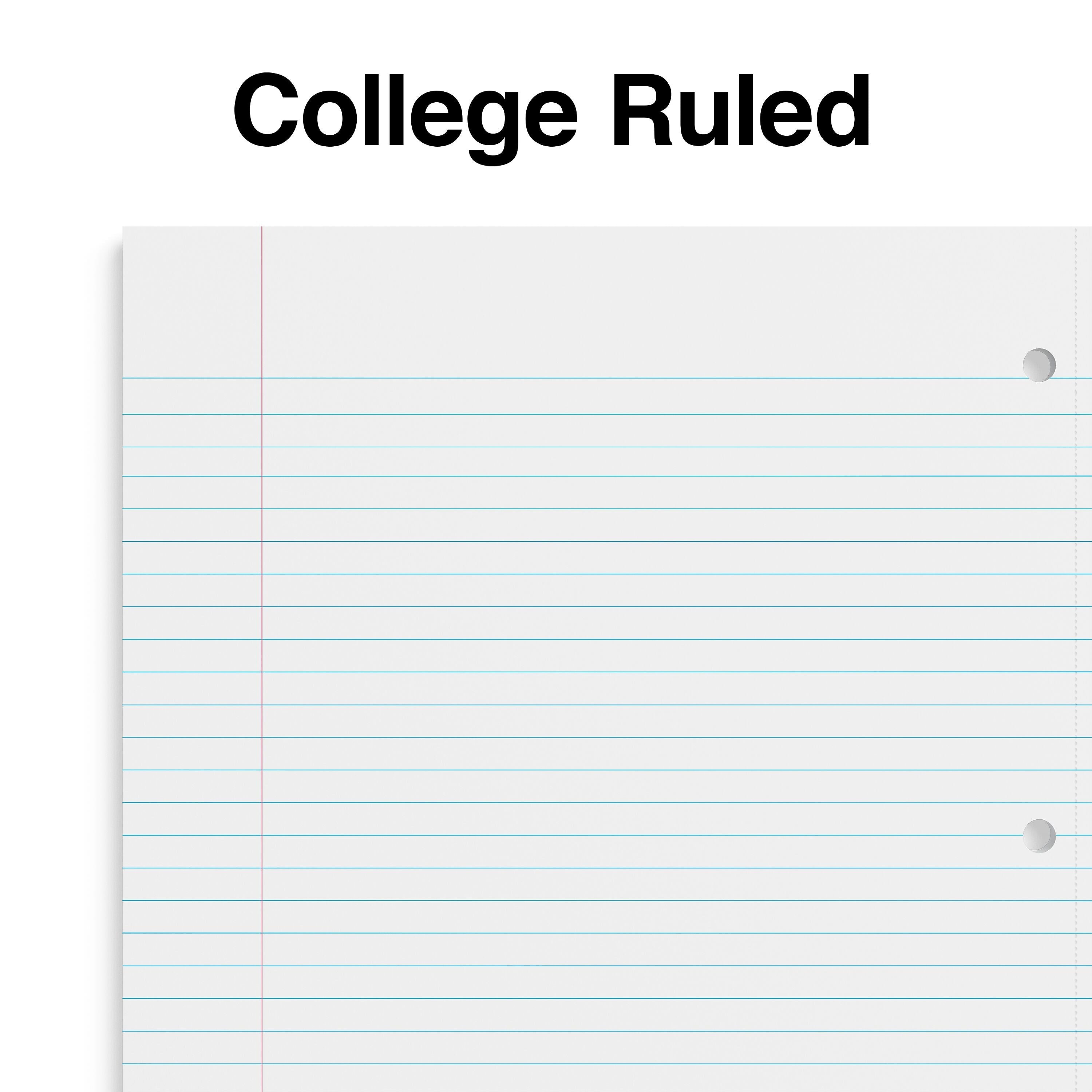 Staples Premium 5-Subject Notebook, 8.5