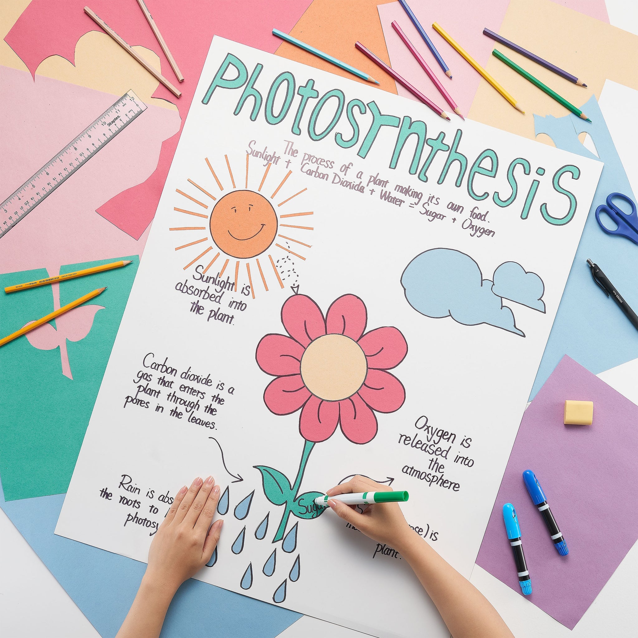 Staples Premium Poster Board, 22