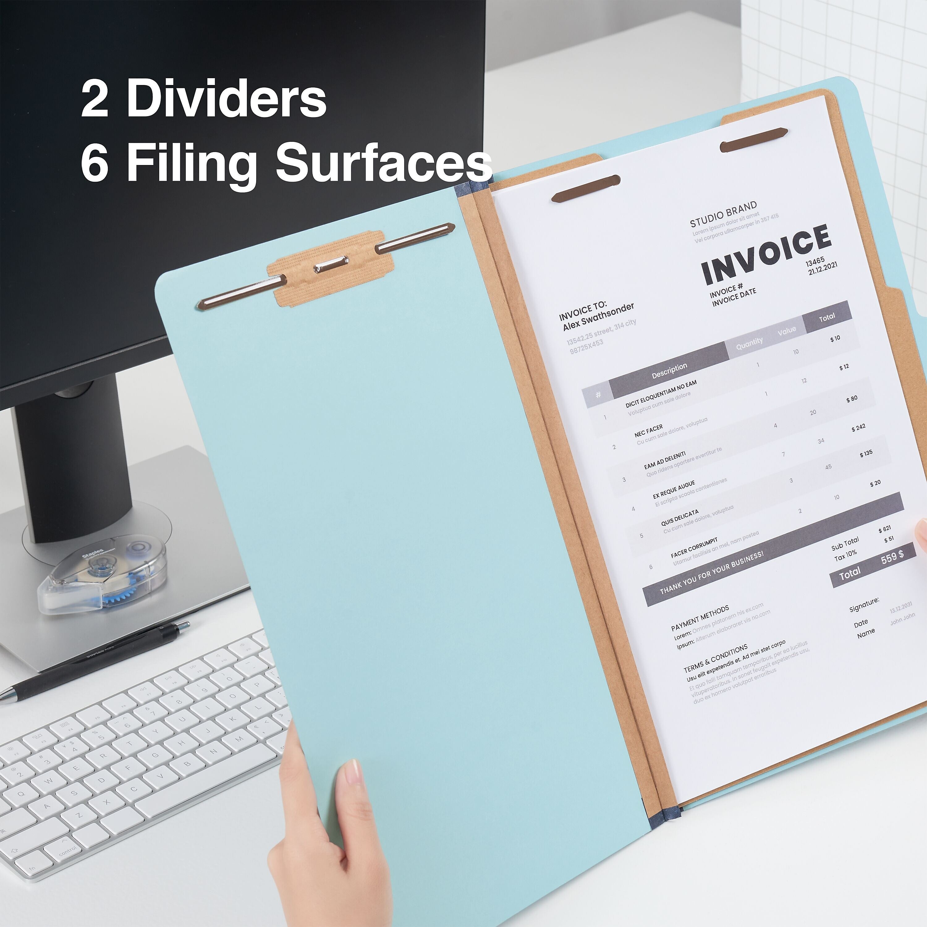 Staples Pressboard Classification Folder, 2-Dividers, 2.5