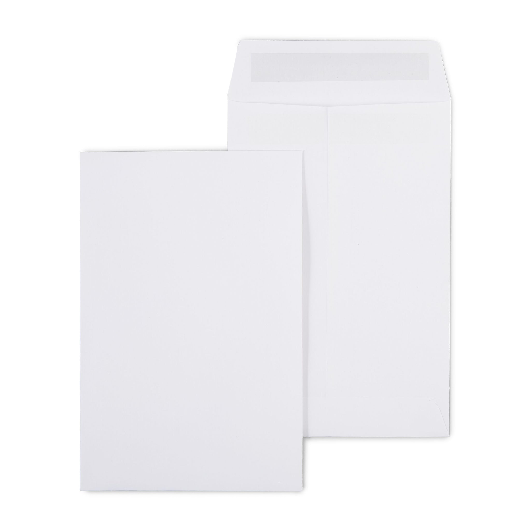 Staples Self Seal #1 Catalog Envelopes, 6