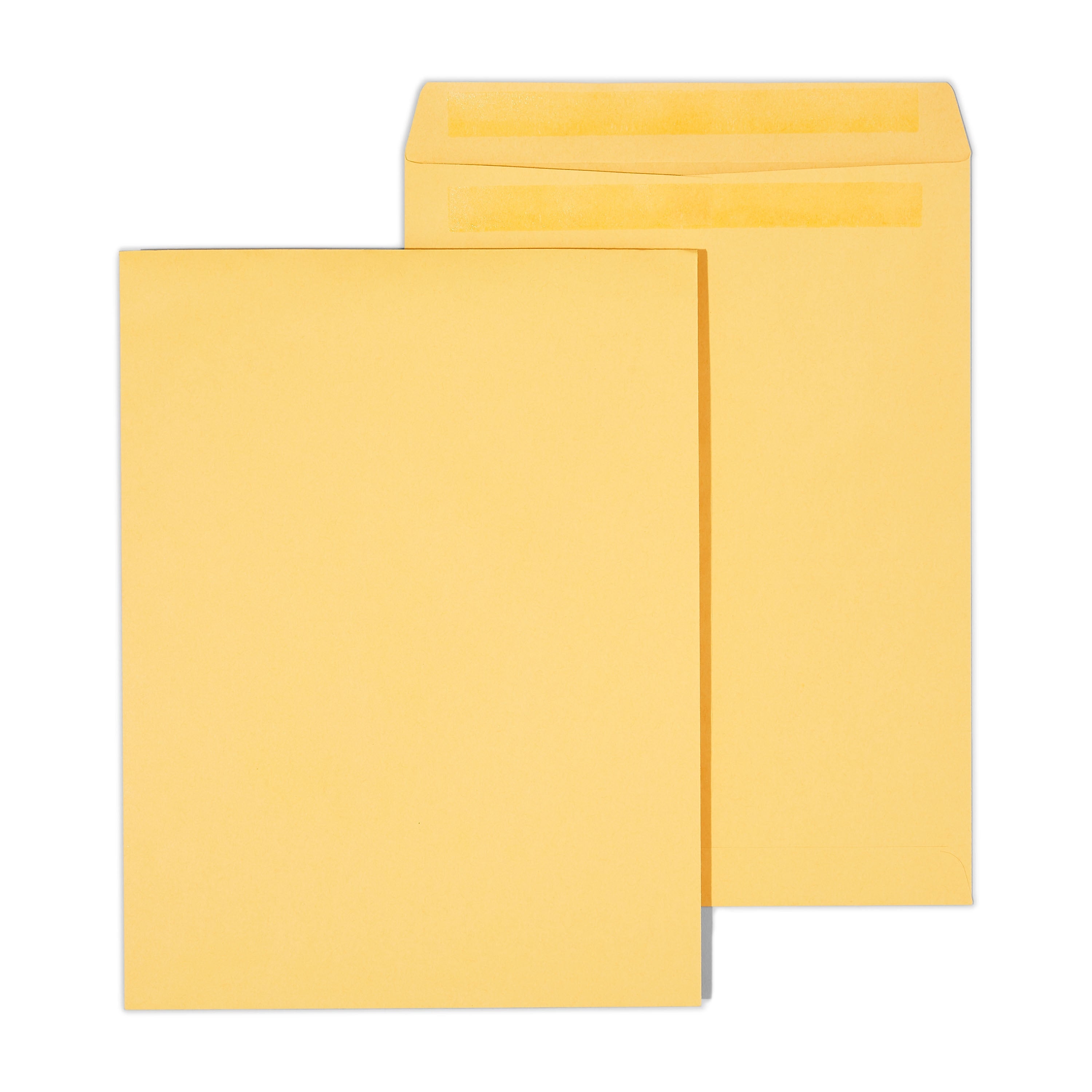 Staples® Self Seal #13 1/2 Catalog Envelope, 10