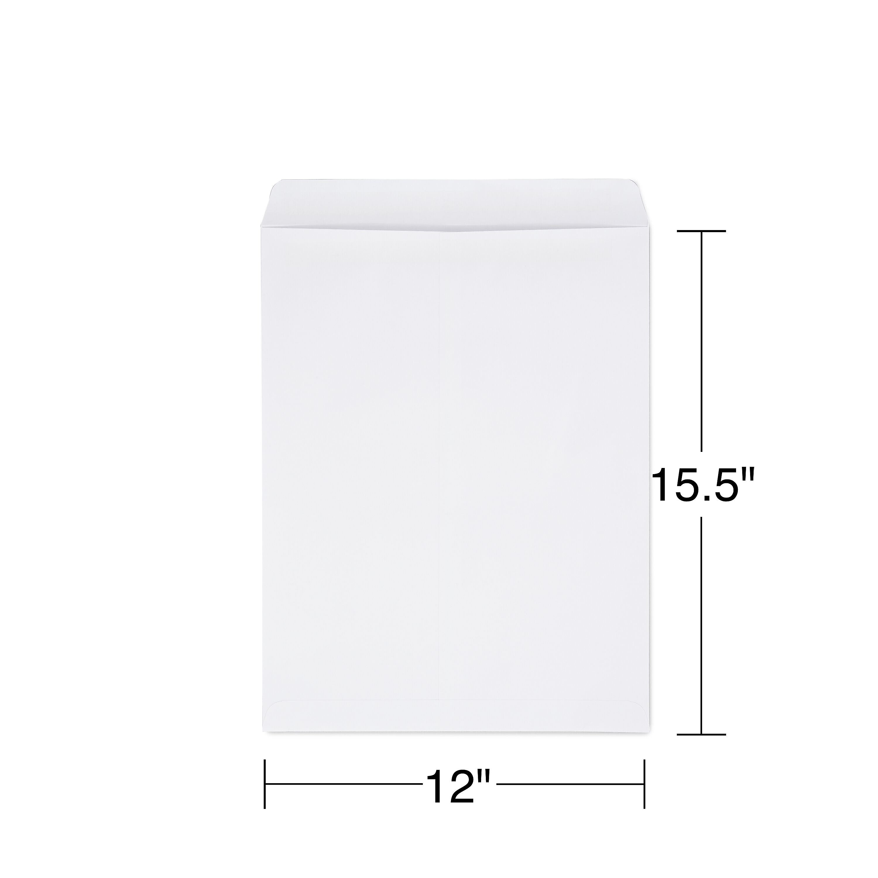 Staples Self Seal Catalog Envelopes, 12