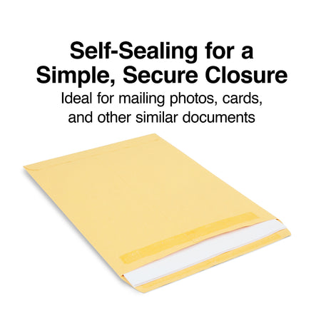 Staples Self Seal Catalog Envelopes, 9"L x 12"H, Brown, 250/Box