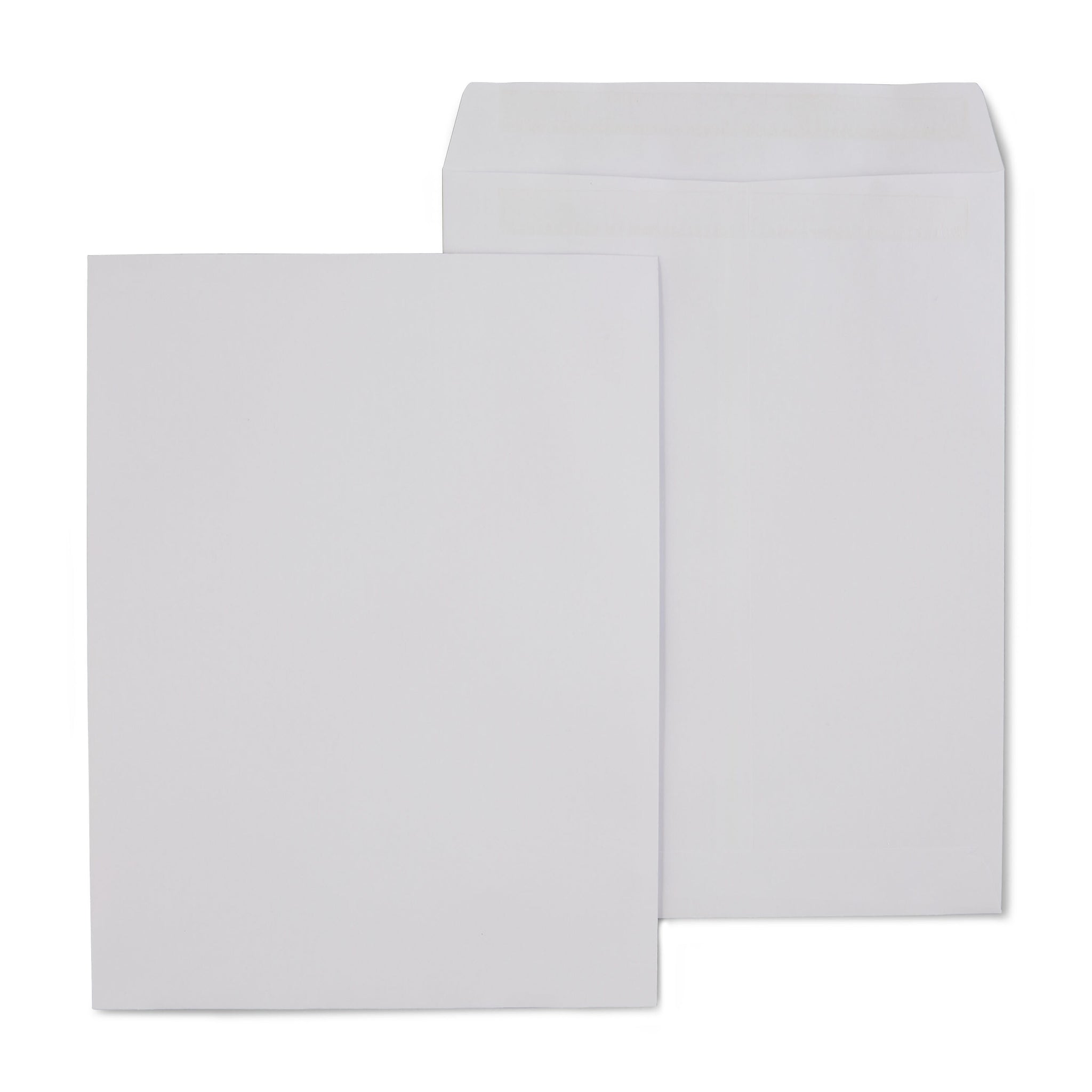 Staples Self Seal Catalog Envelopes, 9
