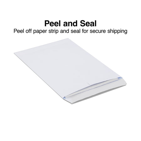 Staples Self Seal Security Tinted Catalog Envelopes, 9" x 12", White, 100/Box