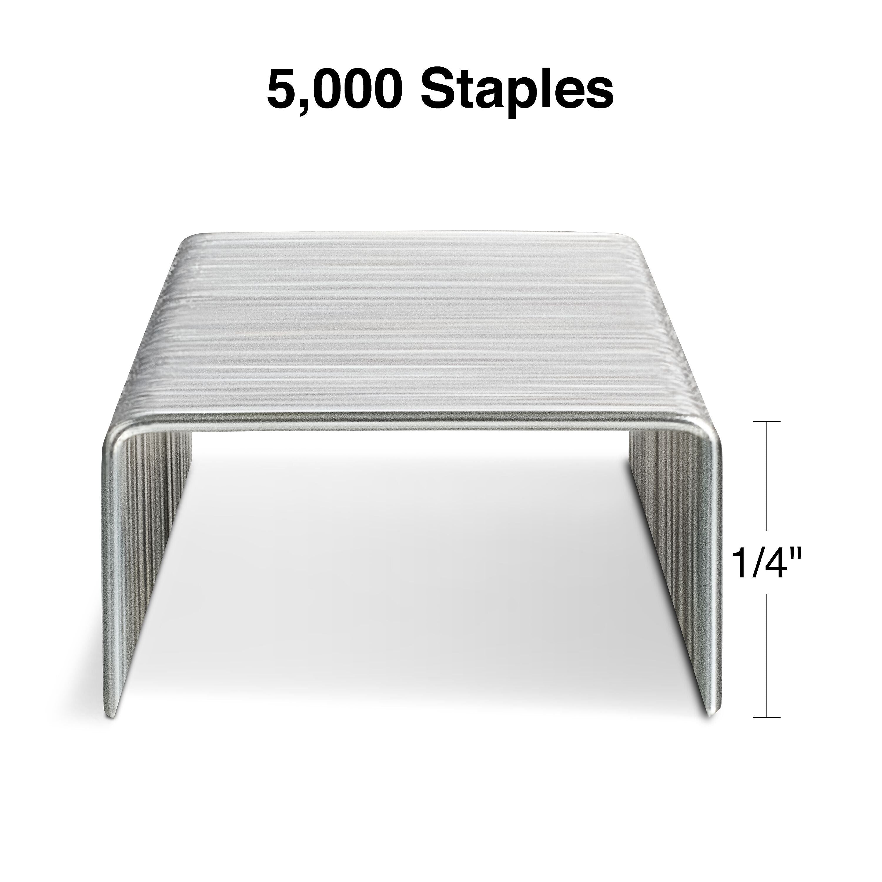 Staples Standard Staples, 1/4