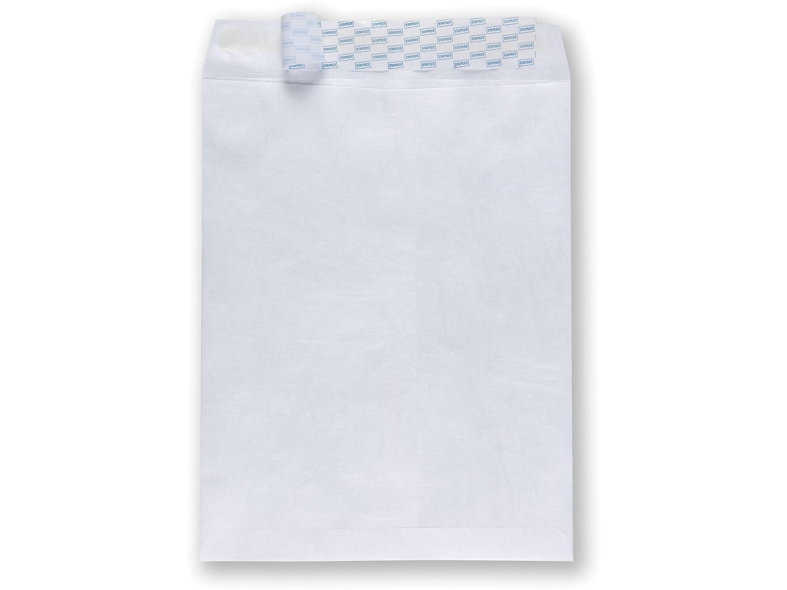 Staples Tyvek EasyClose Catalog Envelopes, 12