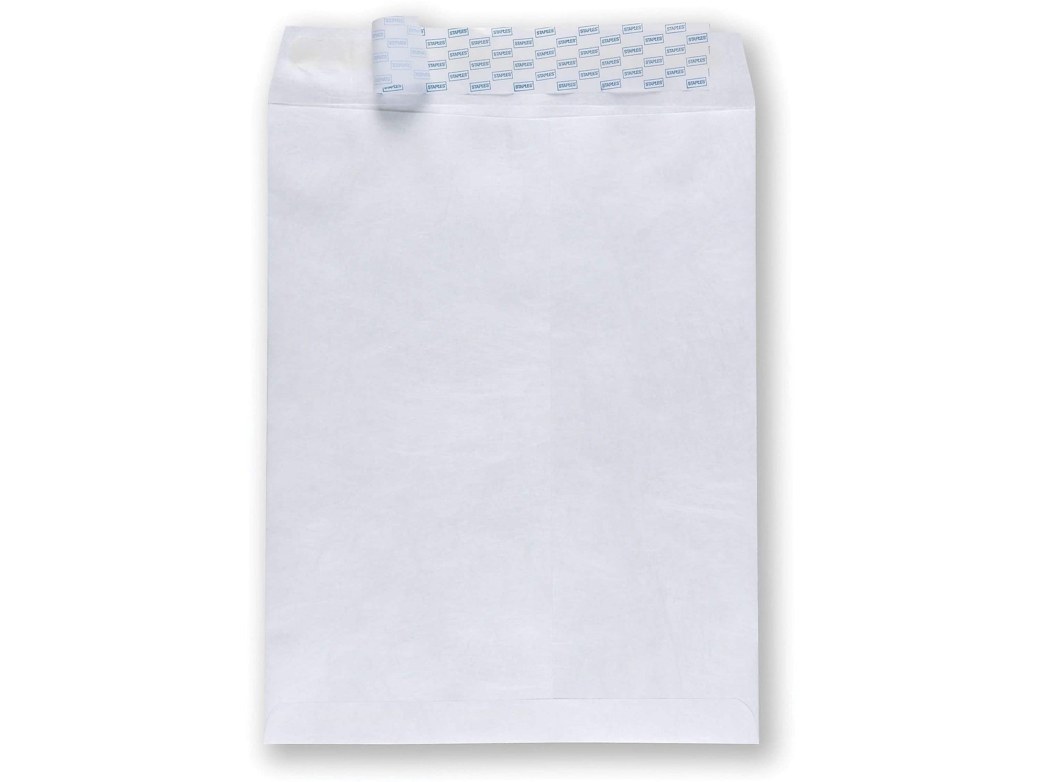 Staples Tyvek EasyClose Catalog Envelopes, 12