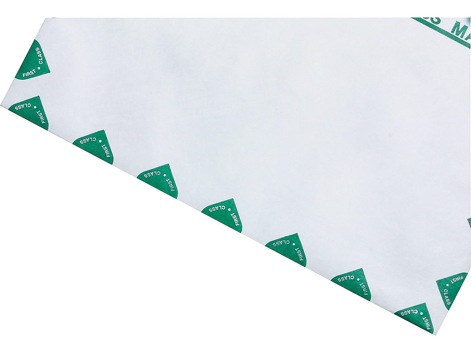 Staples Tyvek EasyClose Catalog Envelopes, 9