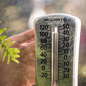 T-REX® Strong and Clear Mounting Tape, Clear, 1