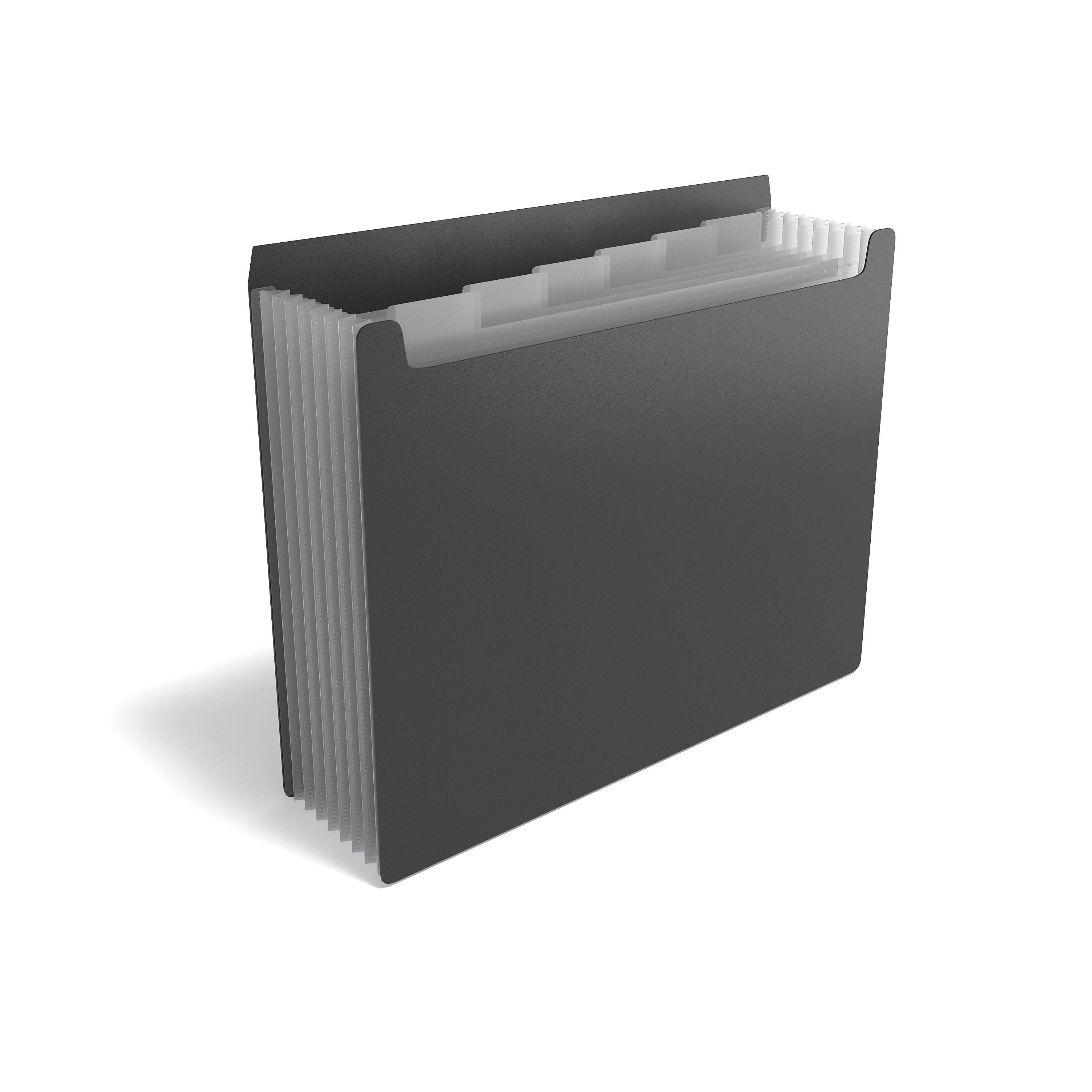 TRU RED™ Plastic Accordion File, 7-Pocket, Letter Size, Black