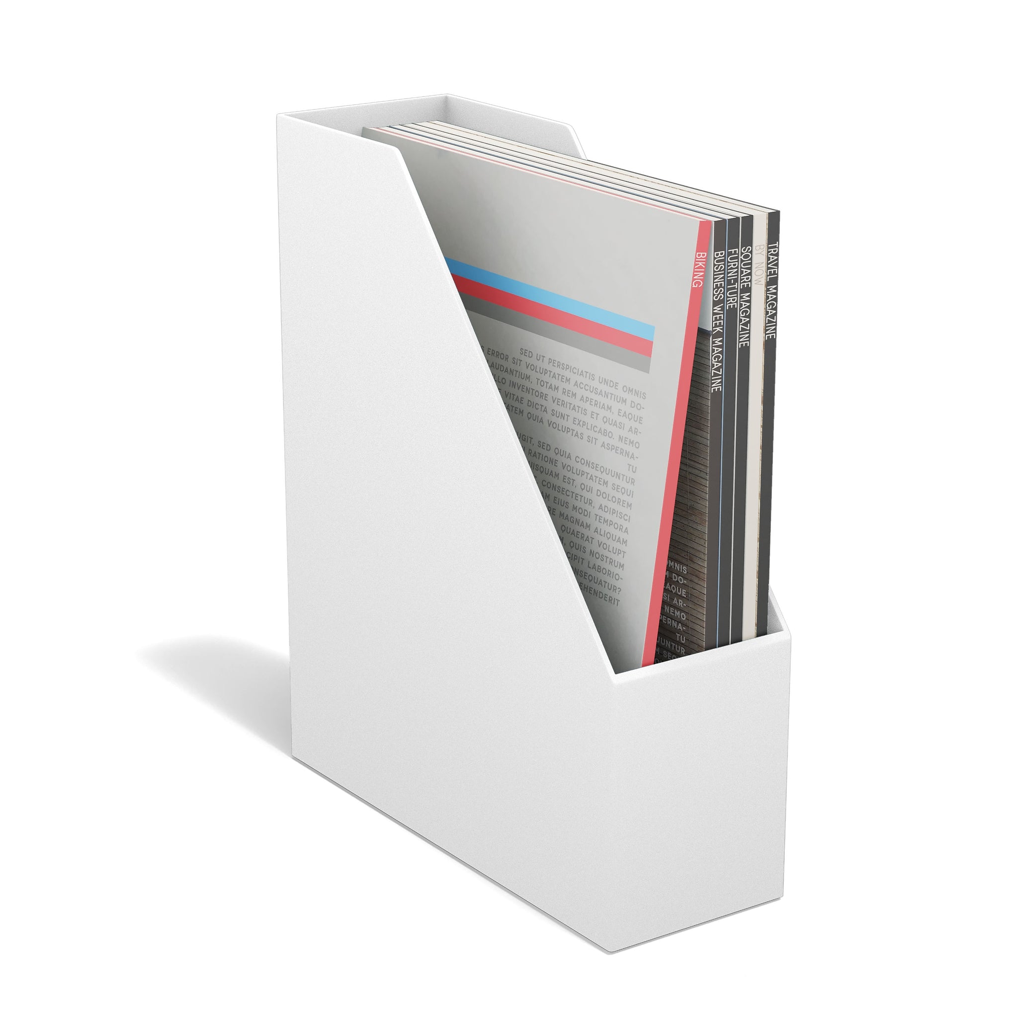 TRU RED™ Plastic Magazine File, White