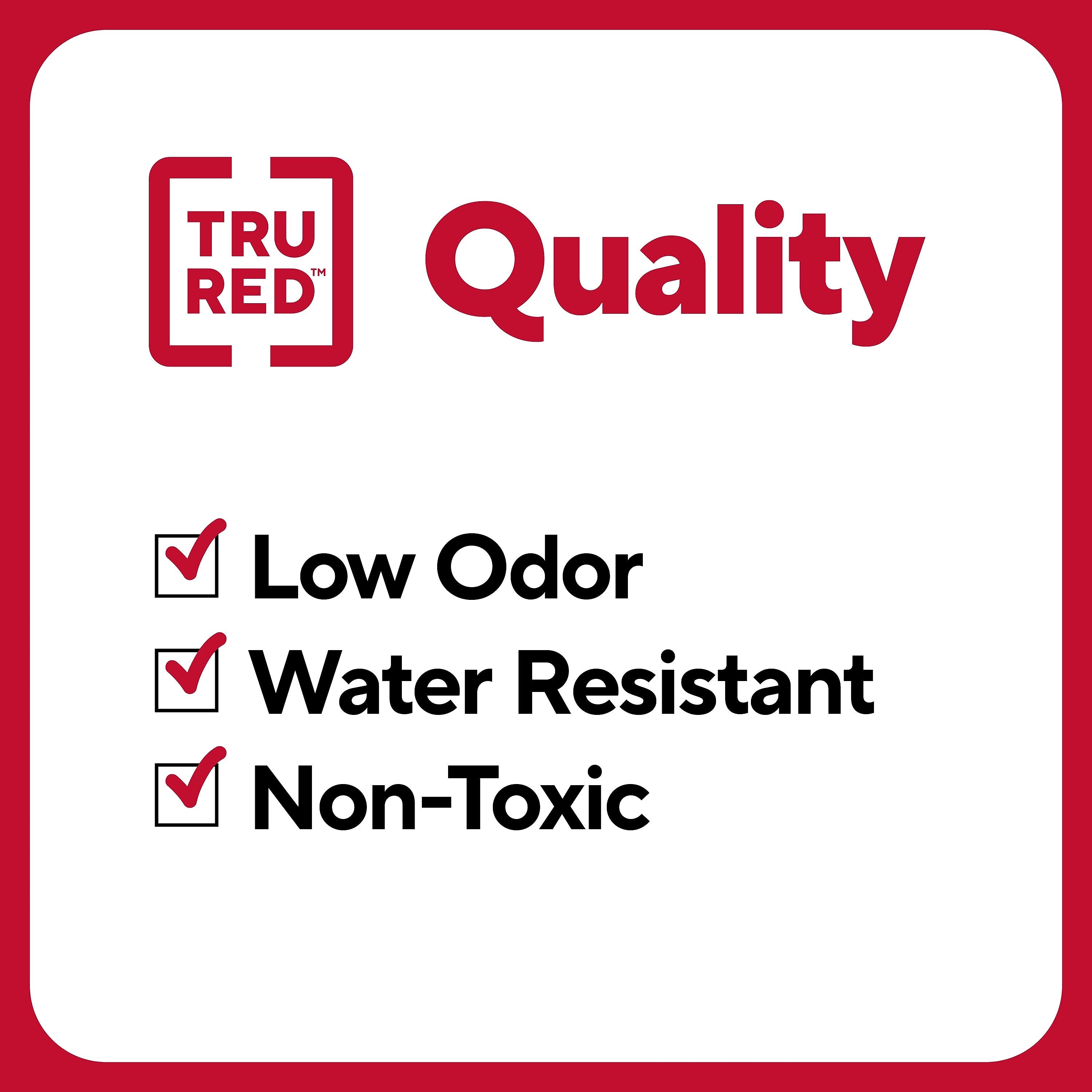 TRU RED™ Tank Permanent Markers, Chisel Tip, Black, 12/Pack