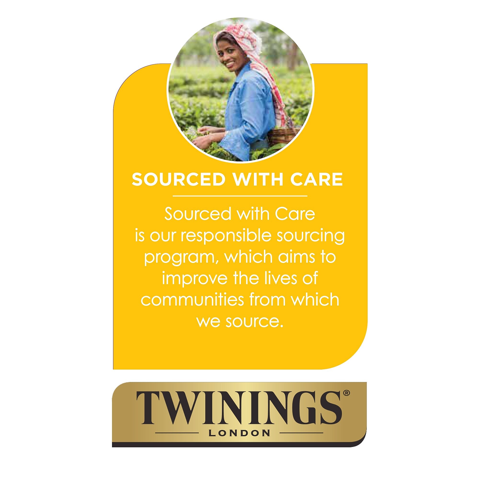 Twinings Cold Brewed Peach Tea Bags, 20/Box