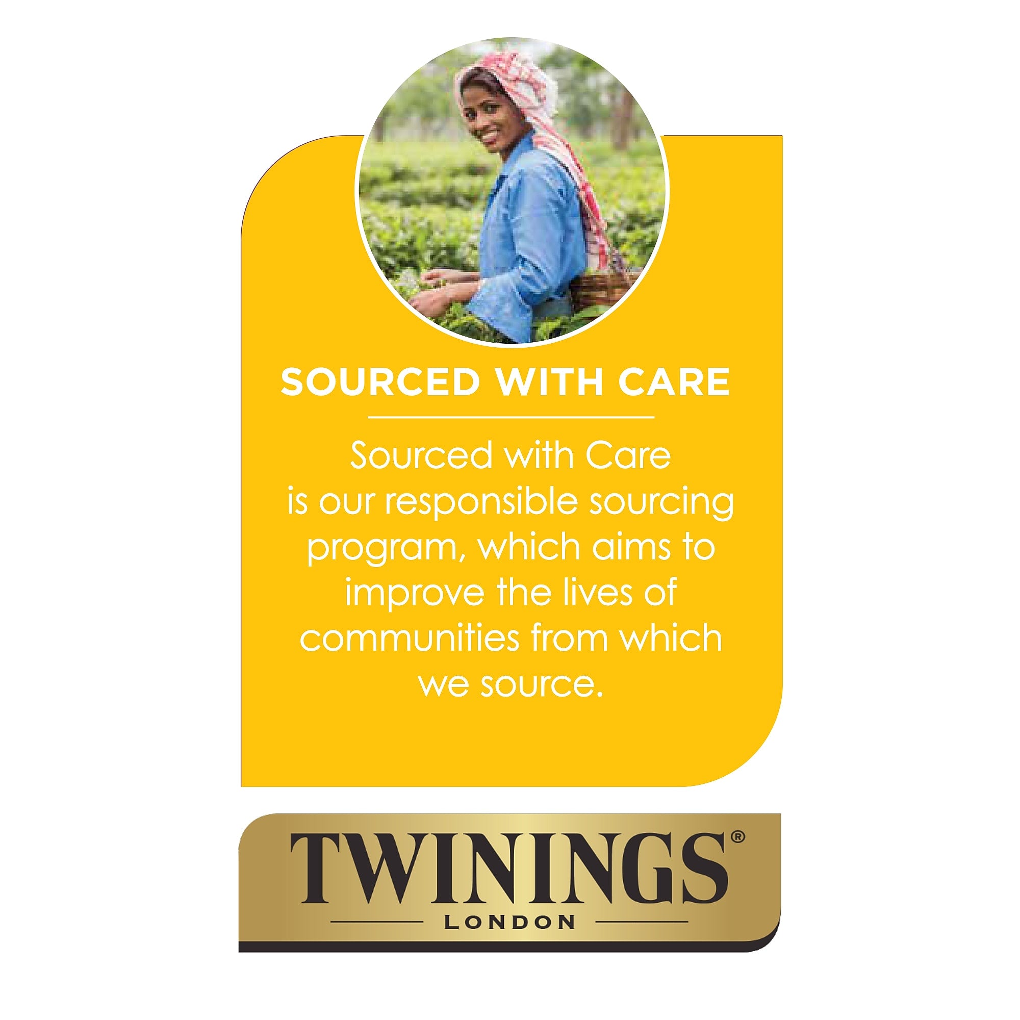 Twinings Probiotics Lemon and Ginger Herbal Tea Bags, 18/Box