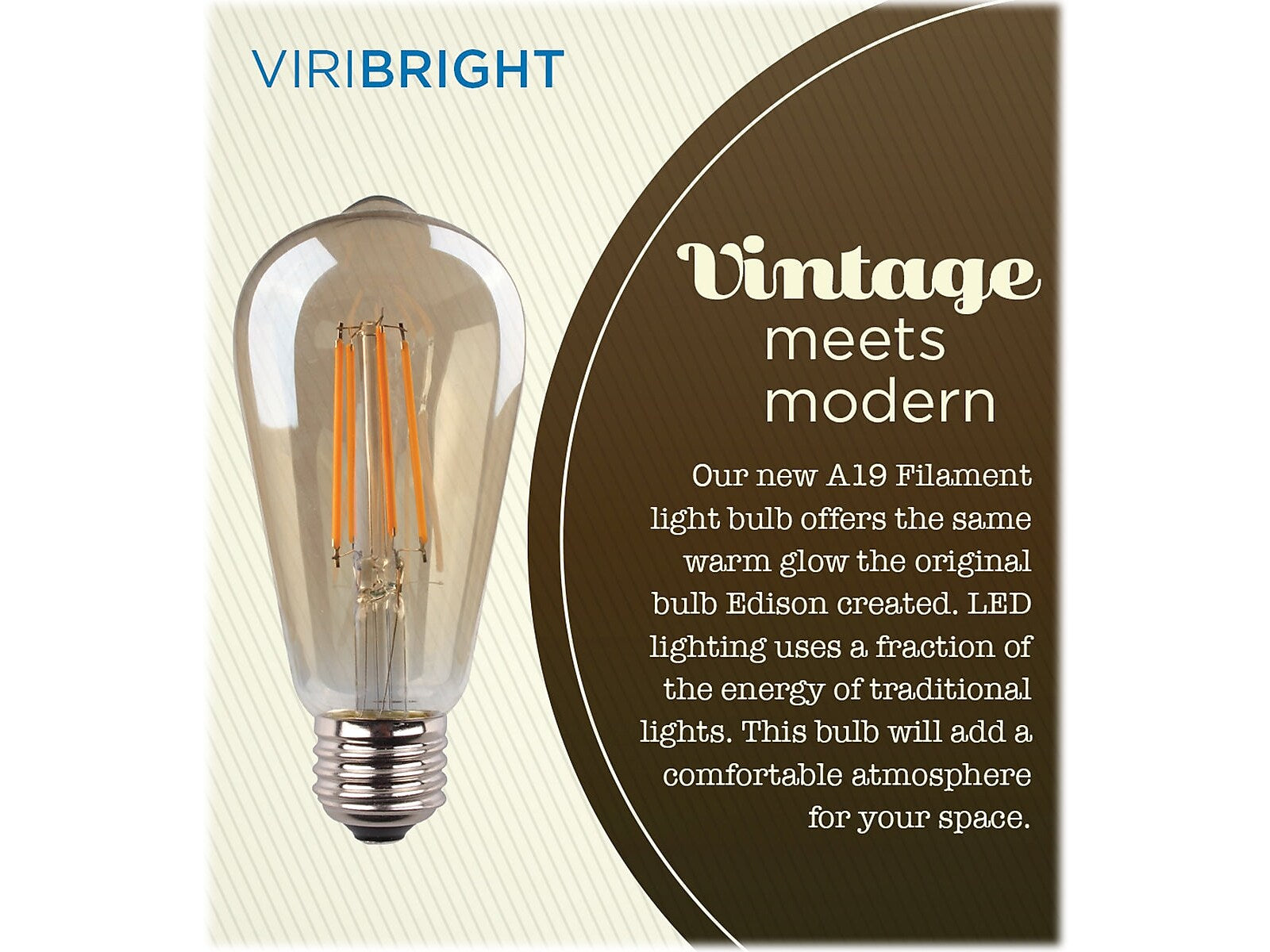 Viribright 5-Watt Warm White LED Decorative Bulb, 6/Box